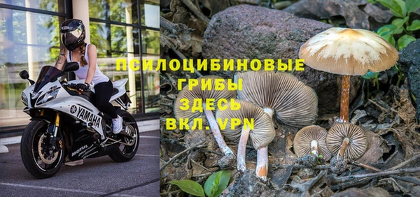 apvp Козловка