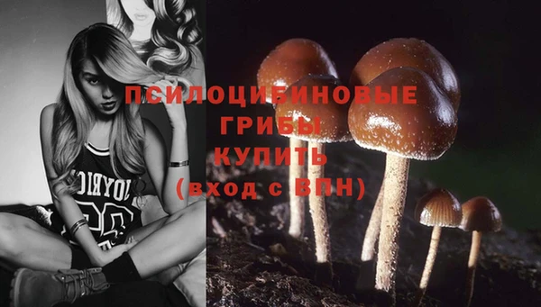 первитин Красноперекопск
